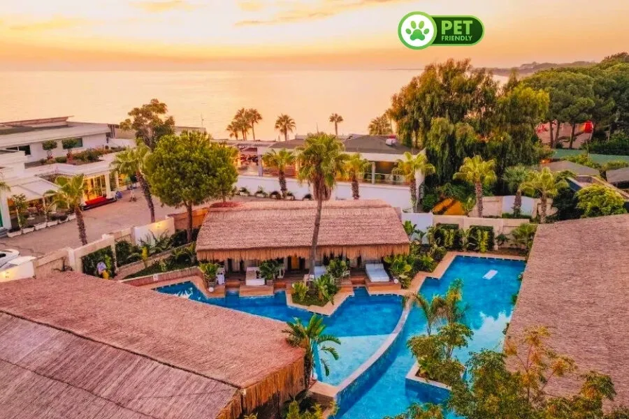 Flora Garden Beach (+16 Adults Only)